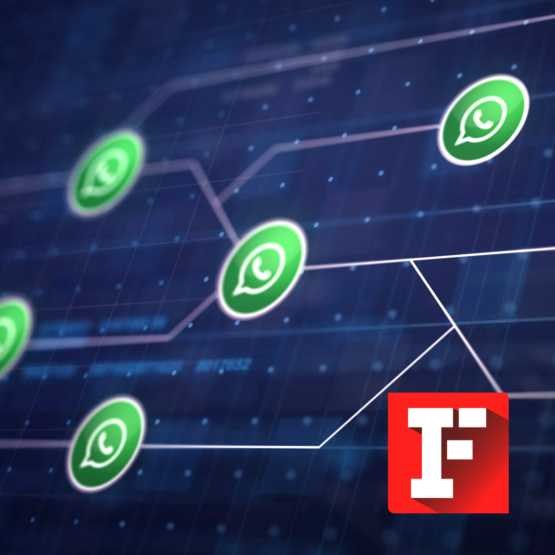 Il Servizio di assistenza direttamente su Whatsapp